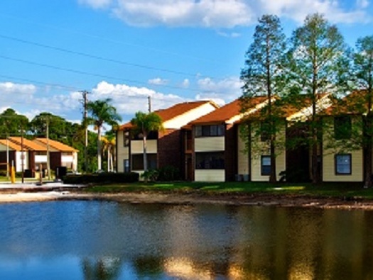 Pond View