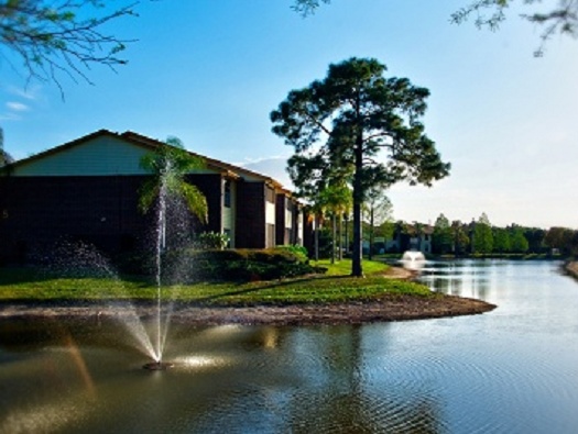 Pond View Pond View