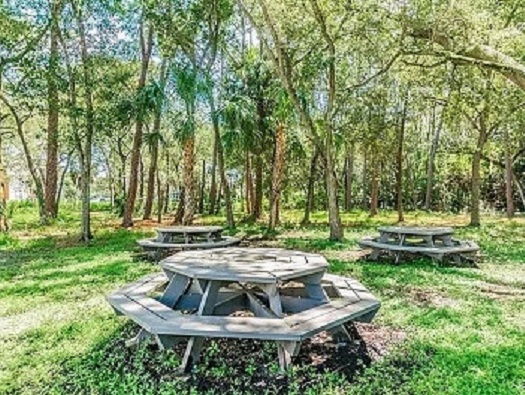 Nature Park Nature Park